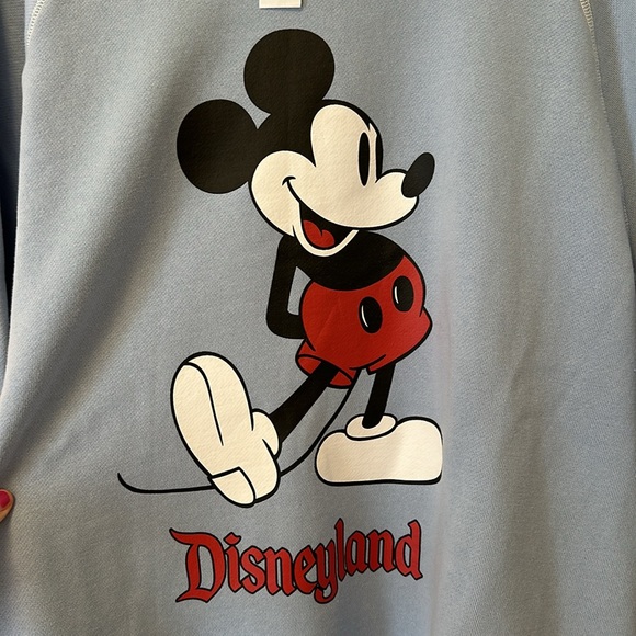 Disneyland crewneck sweater from this season. Size L - Picture 4 of 6